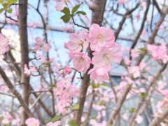 -湘湖金融镇
