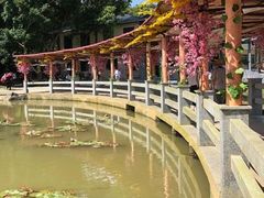 -金龙洞地下河