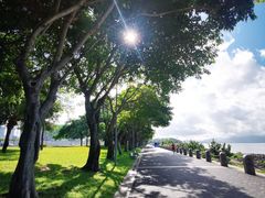 -福田红树林生态公园