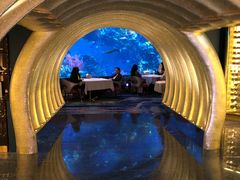 -迪拜帆船酒店海底餐厅