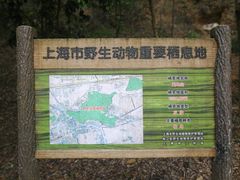 -上海佘山国家森林公园天马山园