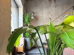 -Apollo·西班牙小酒馆(安福路店)