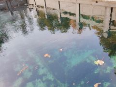 -百脉泉景区