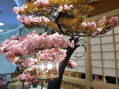 -伊豆野菜村(大族广场店)