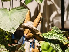 -Thai Basil罗勒叶泰式餐厅(时代天街店)