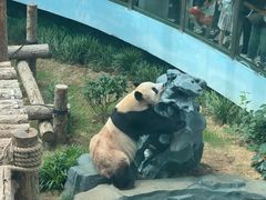 -大连森林动物园