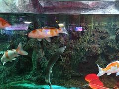 -威海华夏城景区