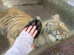 -海南热带野生动植物园