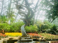 -南山植物园