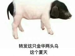 -友达面馆·酸菜鱼面(钱塘区店)