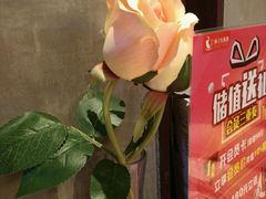 -杯子红牛排(南庄吉利广场店)