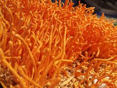 -V-ONE西雅图海鲜自助餐厅(仓山万达广场店)