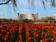 -杭州师范大学(下沙校区)