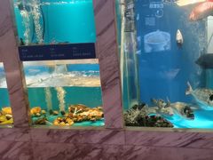-太平洋PACIFIC SPA•奢睿水疗(万象城店)