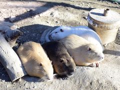 -水上乐园·欢乐世界