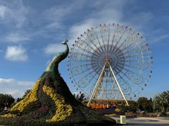 游乐设施-七彩云南欢乐世界