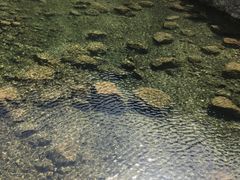 -宁波五龙潭景区