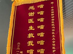 -中农国际动物医院24小时·猫科·骨科·急重症中心