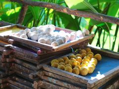 -大象粑粑造纸公园