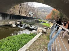 -白水寺森林公园