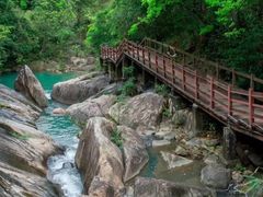 -广州白江湖森林公园