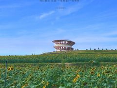 -光明小镇欢乐田园