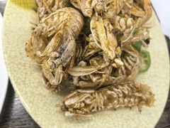 椒盐濑尿虾-贞姨美食·老字号海鲜大排档