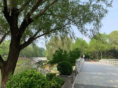 -大兴滨河森林公园