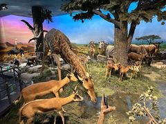 -国家自然博物馆