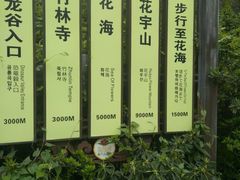 -木兰云雾山