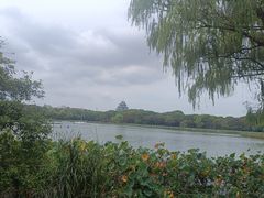 -金鸡湖桃花岛