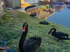 -华谊兄弟（长沙）电影小镇