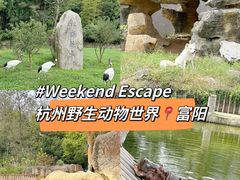 -杭州野生动物世界