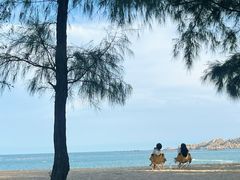 -坛南湾阿强农家乐.海鲜大排档老字号(福州地标美食店)