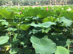 -哈尔滨师范大学(松北校区)