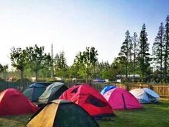 -前小桔亲子创意农场·草莓采摘·露营烧烤