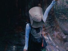 -天目山大树王景区