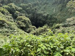-海口火山口国家地质公园