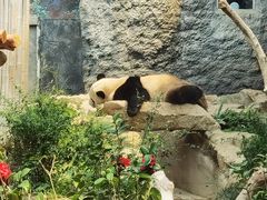 -石排湾郊野公园