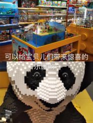 -kidsland(上海环球港店)