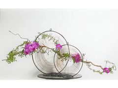 -荷兰布尔玛国际花艺学院