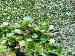 -天津盘山风景名胜区