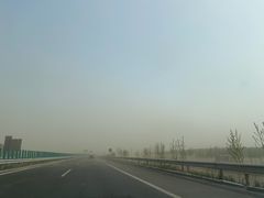 -PAWTOY爪e玩偶店(天兴罗斯福店)