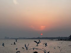 -老虎石海上公园