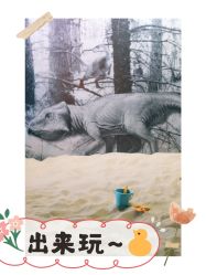 -恐龙探索乐园(磁器口店)