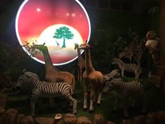 -济州岛泰迪熊博物馆