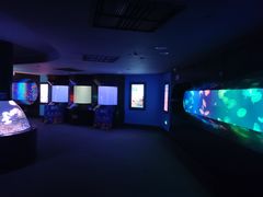 -成都浩海立方海洋公园