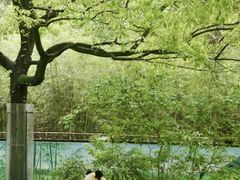 -上海野生动物园