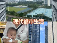 -顺德职业技术大学
