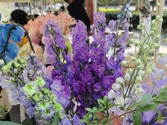 -Flower in(密渡桥店)